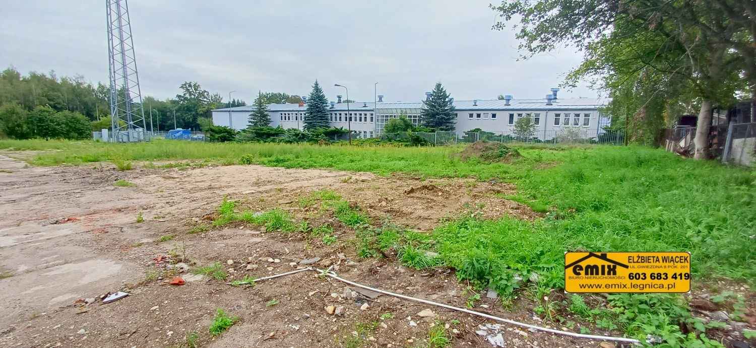 Działka komercyjna, przemysłowa - przy drodze wojewódzkiej Złotoryja - zdjęcie 6