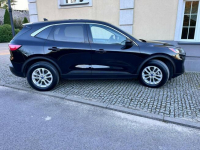 Ford Escape Bardzo dobry stan. Niski przebieg. Chlewice - zdjęcie 12