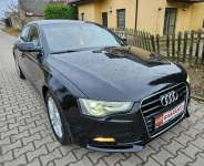 Audi A5 12/13r 177PS Navi Zadbany Rata800zł Śrem - zdjęcie 6