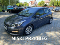 Kia Cee'd benzyna I rej. 2017 przebieg 57500 km