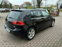 Volkswagen Golf 1.4 benzyna bezwypadkowy model 2014 nawigacja Słupsk - zdjęcie 5