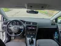 Volkswagen Golf 7 krajowy ACC carplay trasy Zabrze - zdjęcie 3
