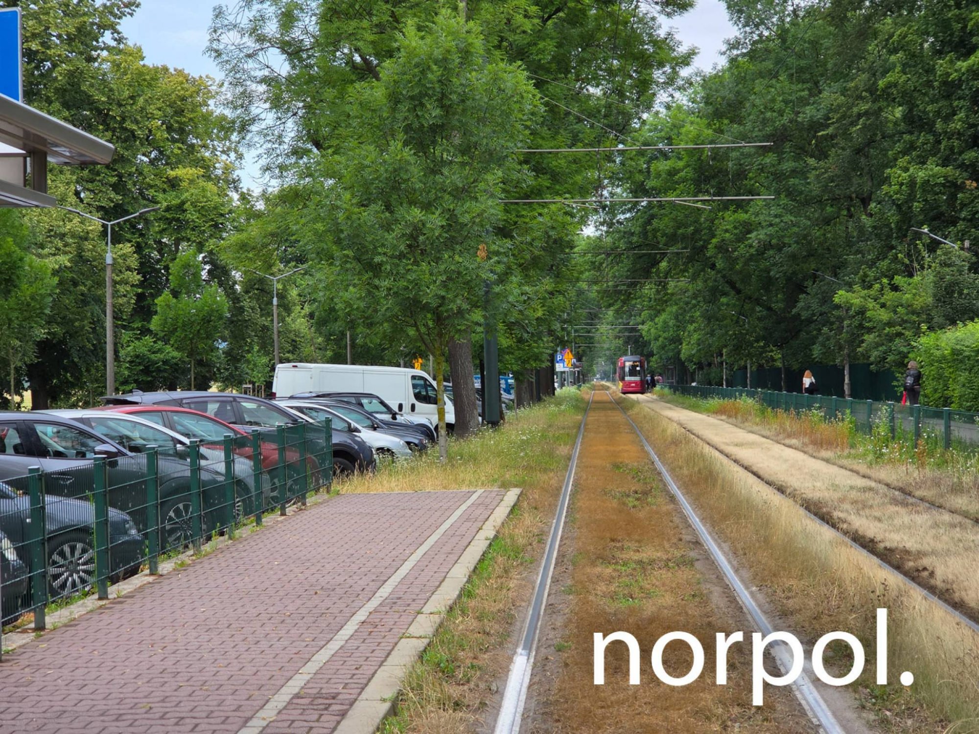 Lokal 75 m² na wynajem przy Błoniach – prestiż, ruch i świetna Kraków - zdjęcie 8