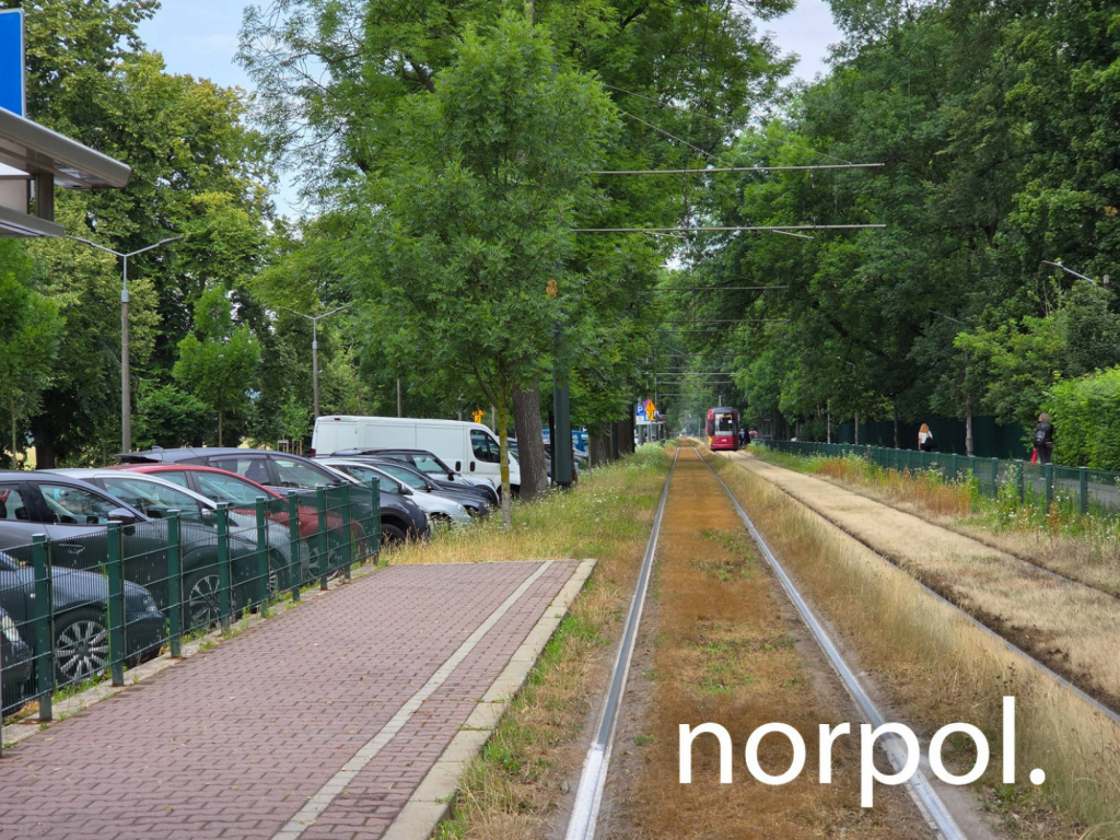 Lokal 75 m² na wynajem przy Błoniach – prestiż, ruch i świetna Kraków - zdjęcie 8