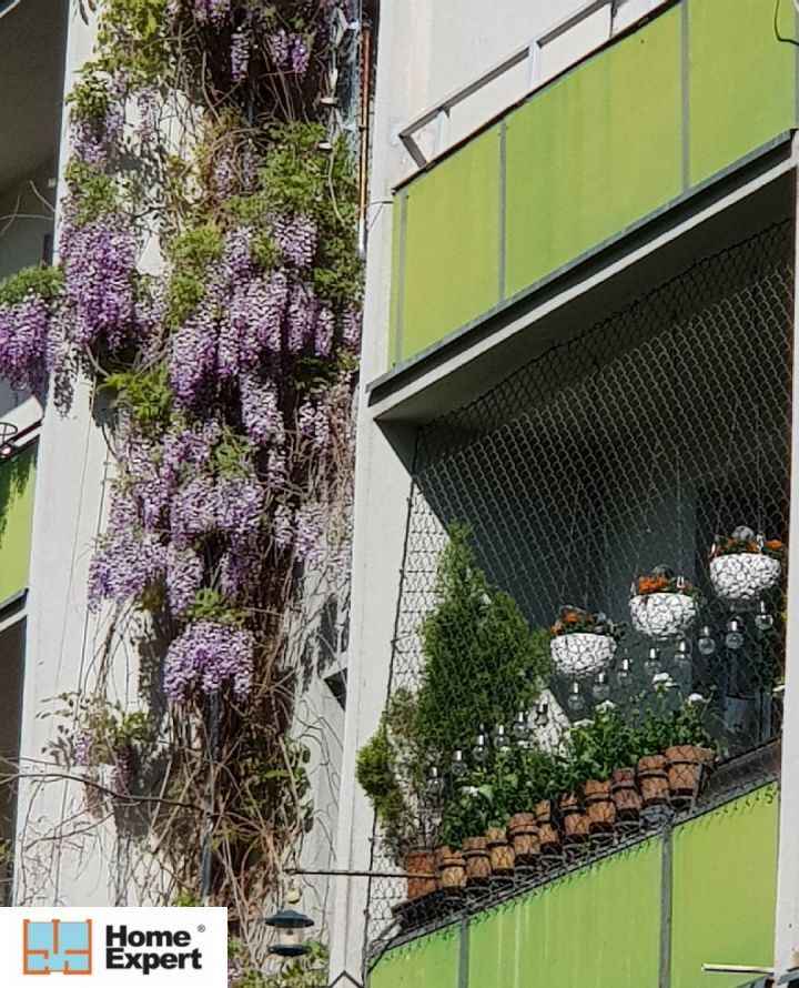 1pok, 33met, Okolice Lelewela BALKON/PIWNICA/PARKING (Wrocław) Stare Miasto - zdjęcie 9