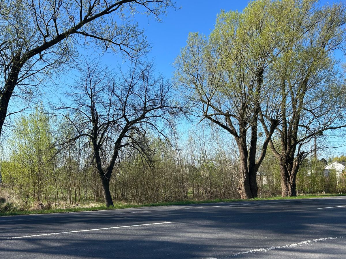 Działka pod budowę biura i hali przy drodze wojewó Bugaj - zdjęcie 1