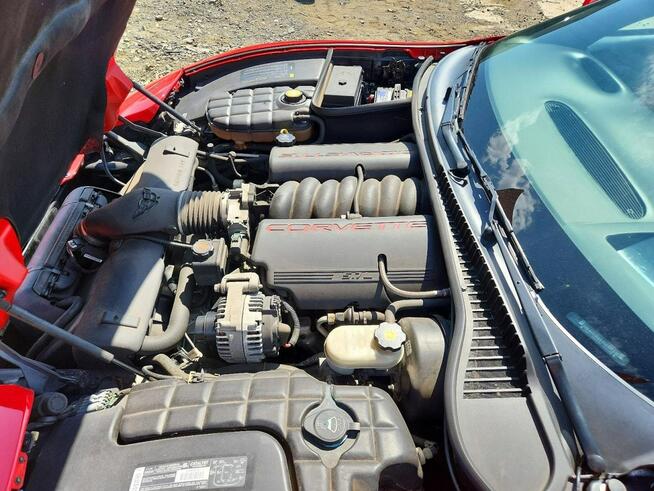Chevrolet Corvette C5 / Automat / 5.7 V8 Chwaszczyno - zdjęcie 11