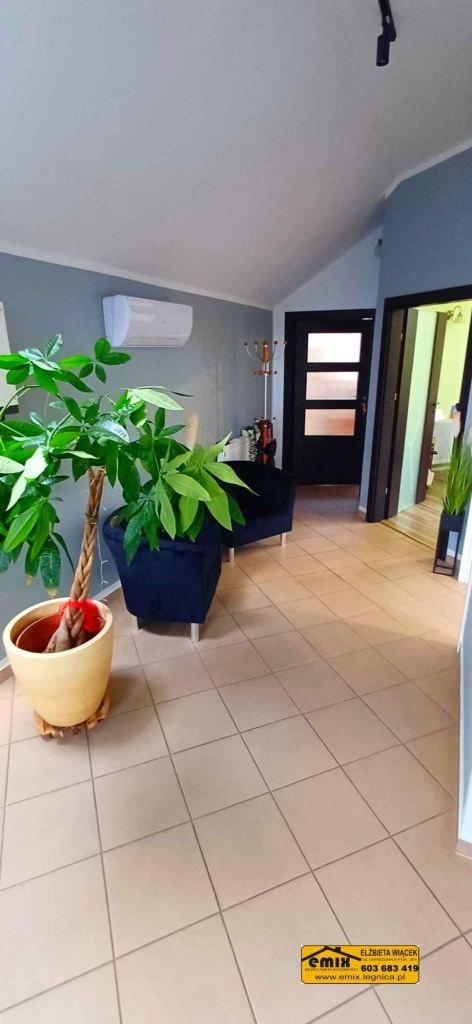 Lokal użytkowy, 1 lub 2 pomieszczenia, parking, klimatyzacja Złotoryja - zdjęcie 1
