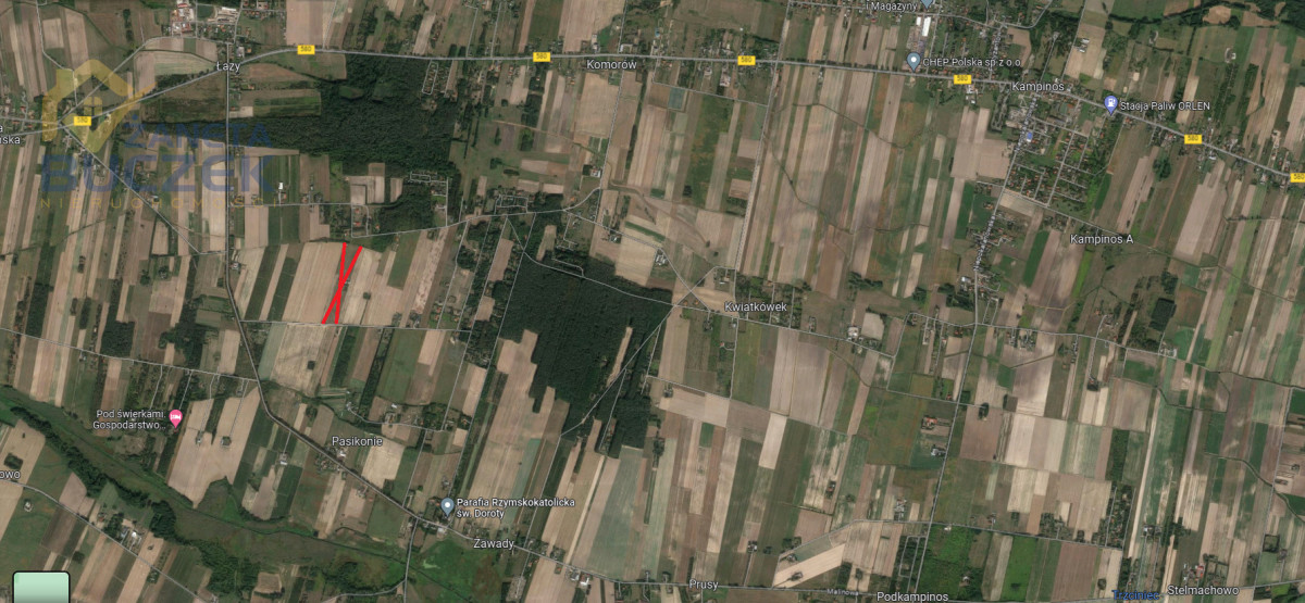 Działka rolna z budynkami - Pasikonie gm.Kampinos Pasikonie - zdjęcie 6