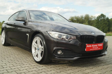 BMW 420D GRAND COUPE 190KM I-WSZY WŁAŚCICIEL STAN BDB ZADBANY Goczałkowice-Zdrój - zdjęcie 11